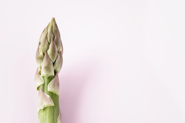 Fresh green asparagus