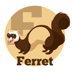 ABC Cartoon Ferret