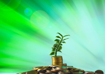 Fototapeta na wymiar Stack of coins with small plant growing out of it - Investment And Interest Concept