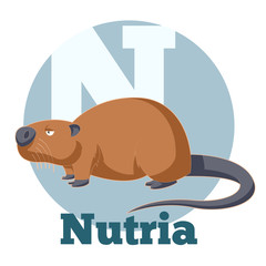 ABC Cartoon Nutria