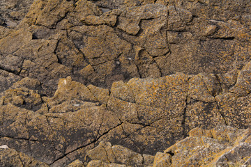 Close up of texture on a rock