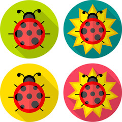 Colorful flat icons: ladybug and flower.
