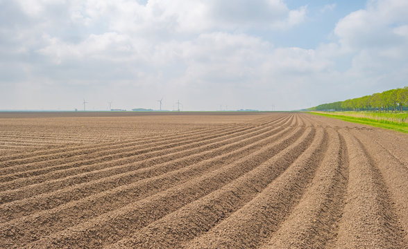 Plowed field with furrows in spring