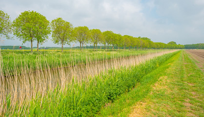 Obraz premium Canal meandering through a rural area in spring