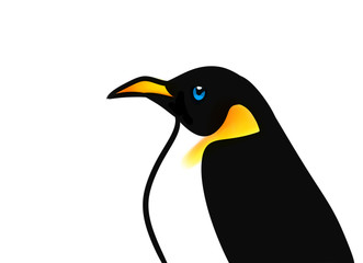 Bird penguin cartoon illustration isolated image