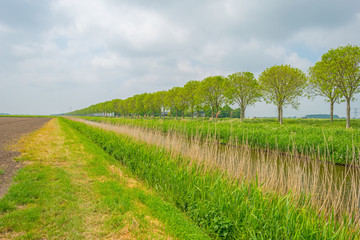 Fototapeta na wymiar Canal meandering through a rural area in spring