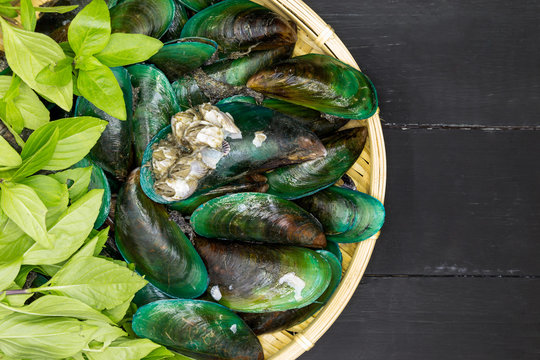 Mussels