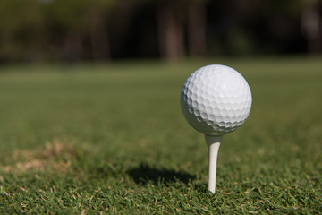 golf ball on tee
