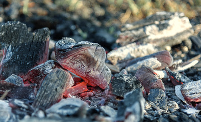 Texture embers after fire closeup