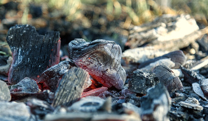 Texture embers after fire closeup