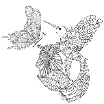 Hand drawn zentangle tribal flying butterfly, Hummingbird in hib