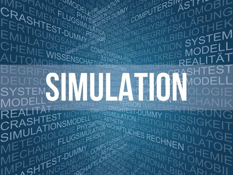Simulation