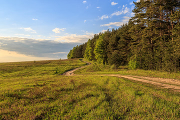 Fototapeta na wymiar Весенний пейзаж, дорога петляет между лесом и полем с ярко-зелеными всходами
