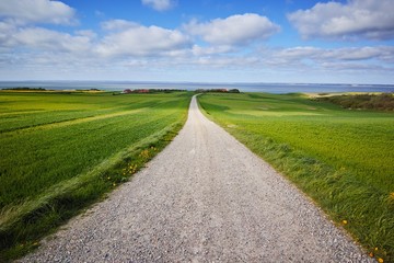 Radweg entlang der Nordseeküste, Dänemark