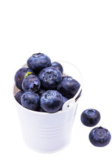 Blueberries in small bucket, isolated on the white background