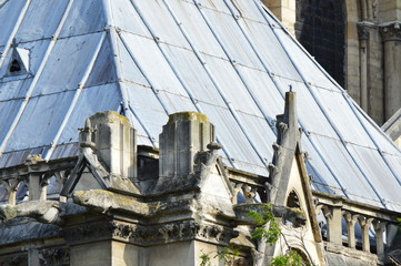 Notre Dame de Paris