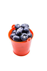 Blueberries in small bucket, isolated on the white background