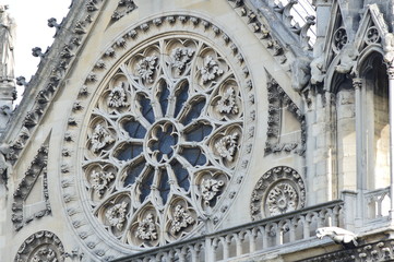 Obraz premium Notre Dame de Paris