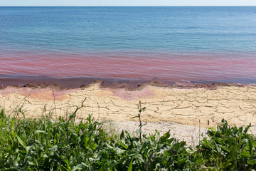 red polluted water at sea that looks like a bloodbath and very dirty shore