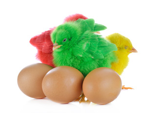 Three chicks in front of white background.
