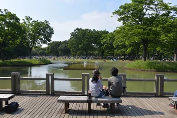 Fototapeten Yoyogi Park in Tokyo, Japan © vormenmedia