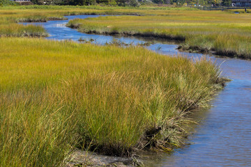 The cape Cod, MA, USA