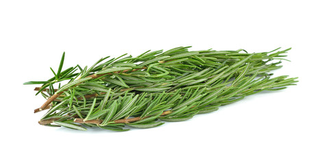 rosemary isolated on white background