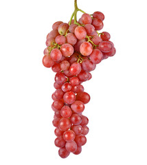 grapes isolated on over white background