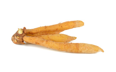 Fingerroot, Kaempfer, Boesenbergia (Boesenbergiapandur ata (Roxb