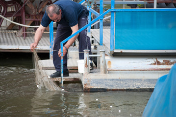 Old man fishing with fishing net from float at riverside