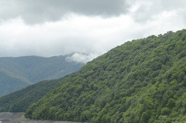 Mountain forest landscape
