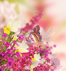 Background for design with flowers, beautiful bouquet of flowers with a butterfly