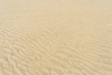 Fototapeta na wymiar sand of a beach