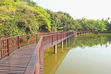 Wooden bridge in tropical forest