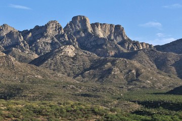 Fototapeta premium Arizona Desert Mountains and Cactus Landscape