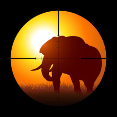 Hunter Targeting An Elephant
