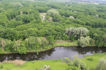 Вид на реку у зелёного леса © Roman TINIAKOV