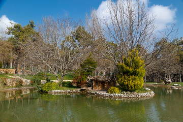 Obraz premium Small Lake in a Park