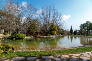 Small Lake in a Park