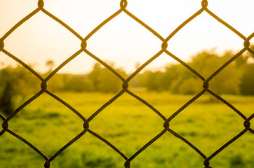 Fototapeta premium Fence in sunset.