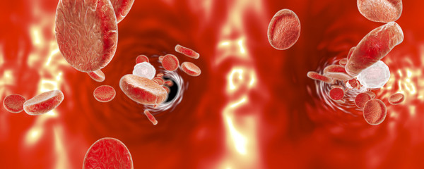 Fototapeta premium Panorama 360 degree view inside blood vessel, red blood cells and white blood cells, background with red blood cells, medical background, circulatory system, cardiovascular system. 3D illustration