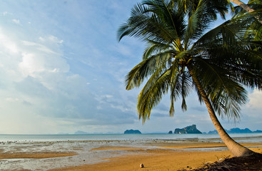 Evening low tide beach and sunset, landscape photo in thailand.