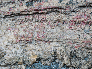 soak packing paper for texture,skin or background