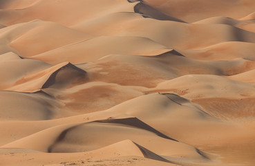 Fototapeta na wymiar Sandtunes in Liwa desert, in Aby Dhabi, UAE, at sunrise
