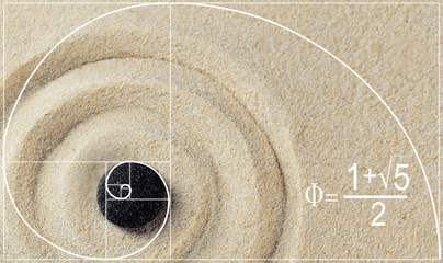 Illustration of golden ratio in nature. Fibonacci pattern