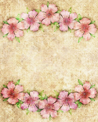 Floral background illustration with pink flowers on border of fr