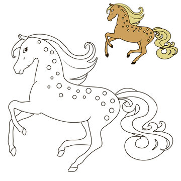 education of the horse in motion coloring book for children, with examples of flowers vector illustration