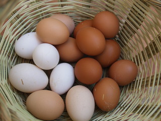 basket multicolor eggs