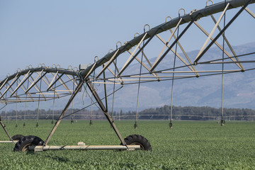 Bewässerung-Wassermanagement