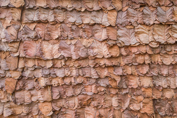 decorative dry leaves on traditional wall